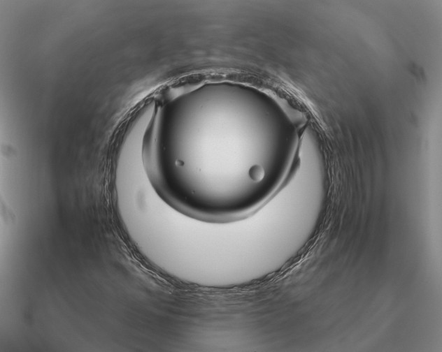 X0000090601352200708071134