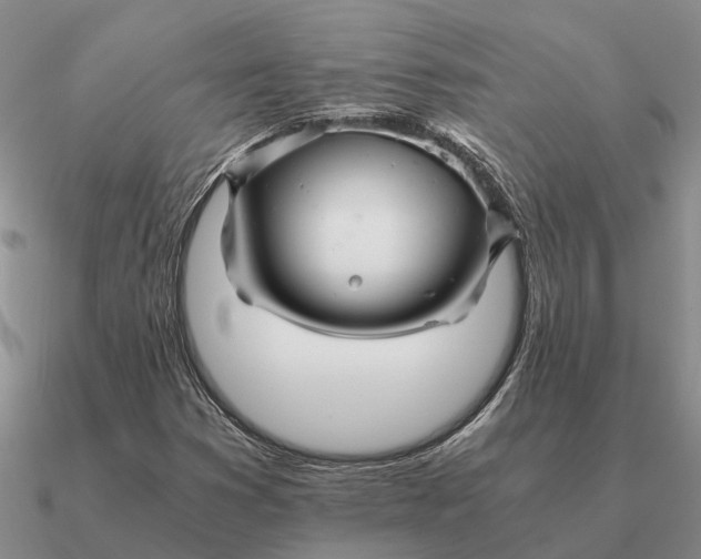 X0000090601353200708071134