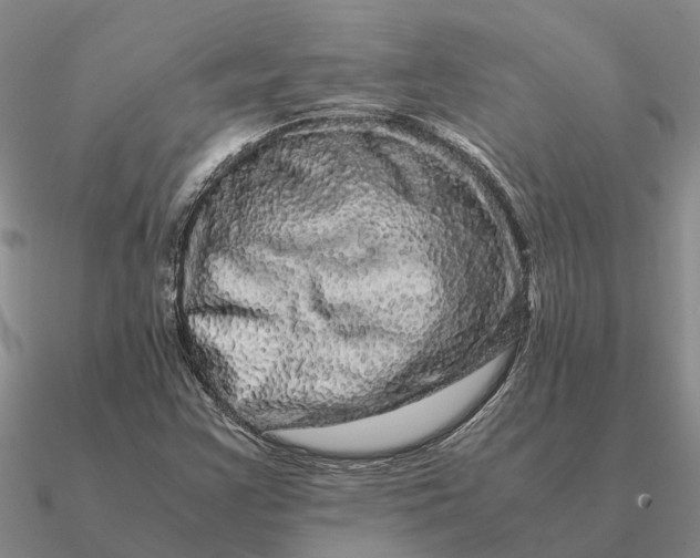 X0000090601355200708071134