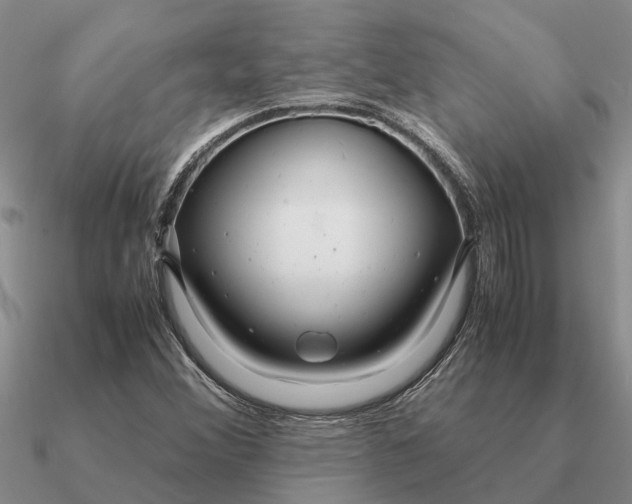 X0000090601356200708071134