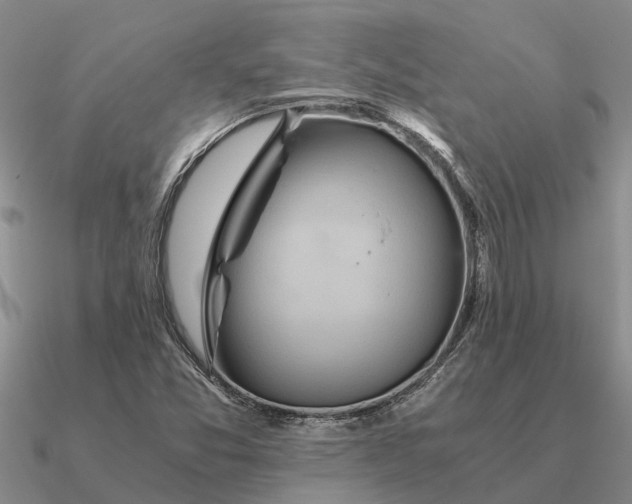 X0000090601357200708071134