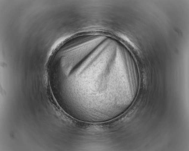 X0000090601358200708071134