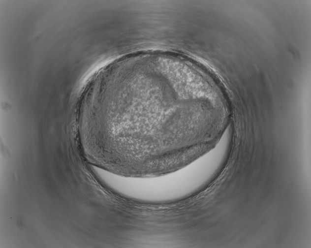 X0000090601359200708071134