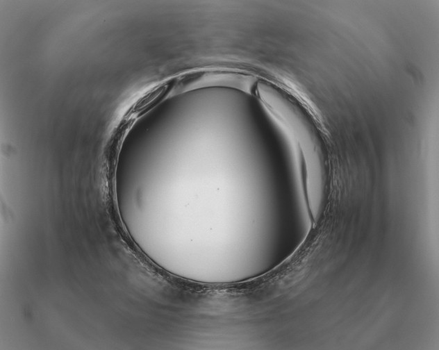 X0000090601360200708071134