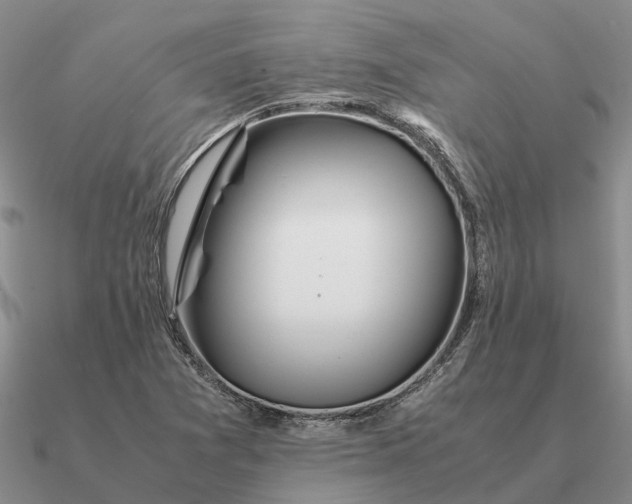 X0000090601361200708071134