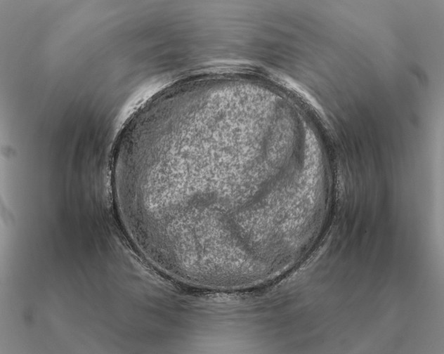 X0000090601362200708071134