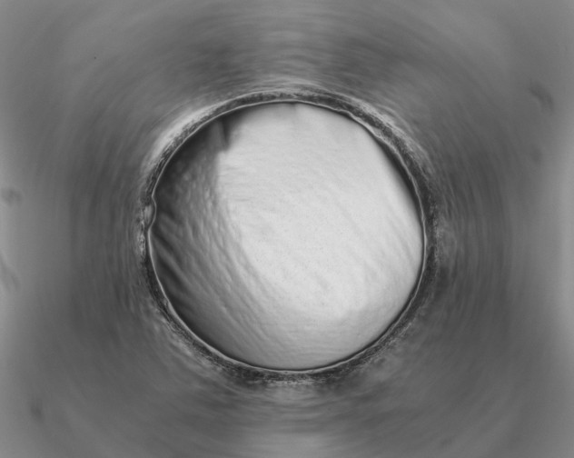 X0000090601363200708071134