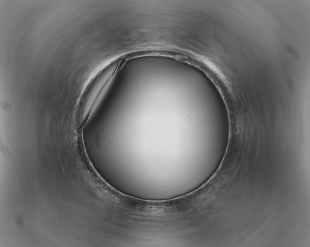 X0000090601364200708071134