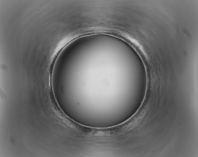 X0000090601365200708071134