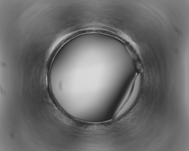 X0000090601368200708071134