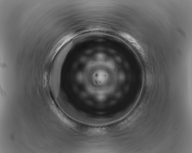 X0000090601369200708071134