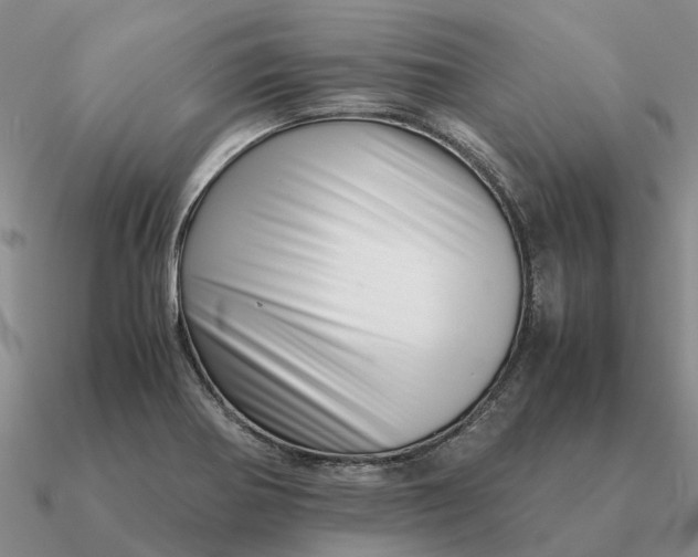 X0000090601370200708071134