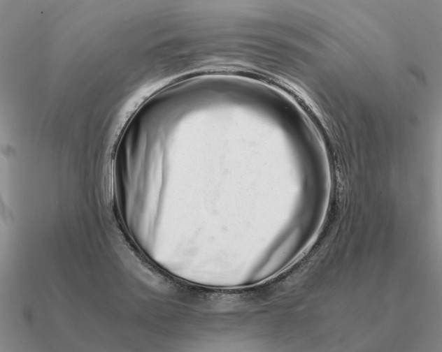 X0000090601371200708071134