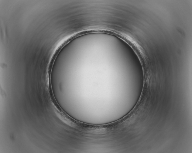 X0000090601372200708071134