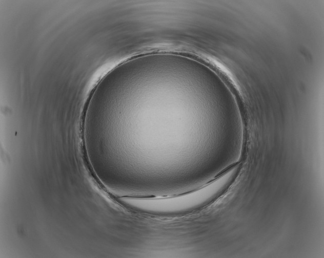 X0000090601373200708071134