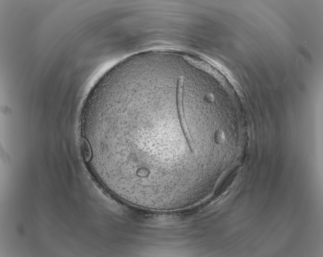 X0000090601375200708071133