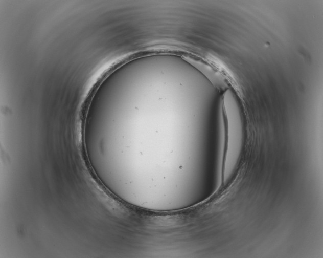 X0000090601376200708071133