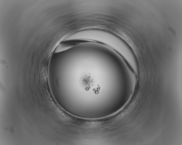 X0000090601377200708071133