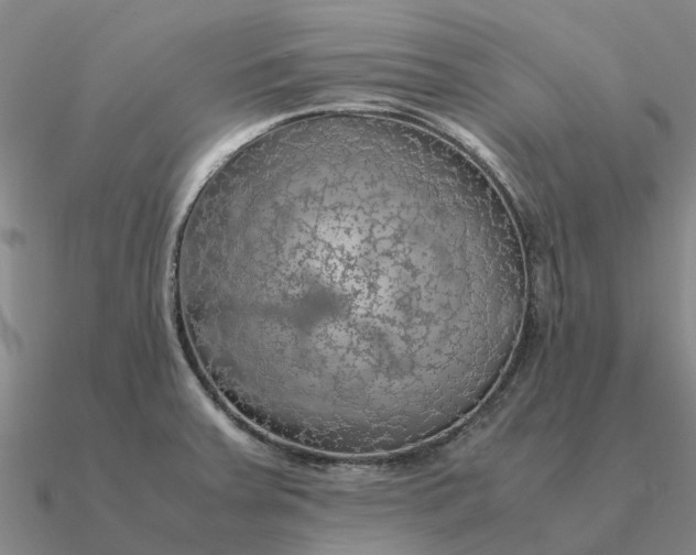 X0000090601379200708071133