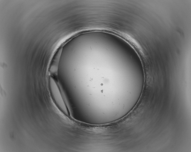 X0000090601380200708071133