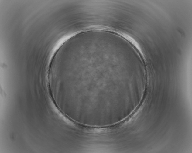 X0000090601381200708071133