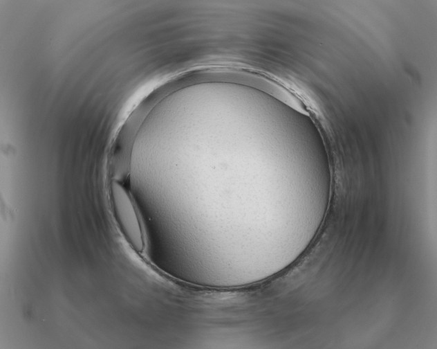 X0000090601382200708071133