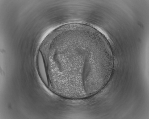 X0000090601383200708071133