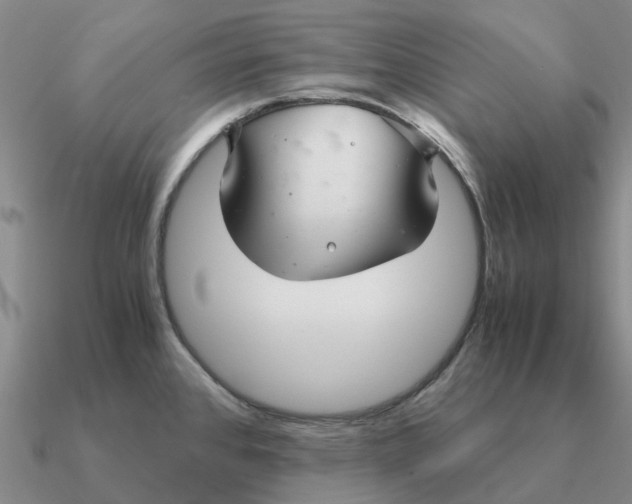 X0000090601384200708071133