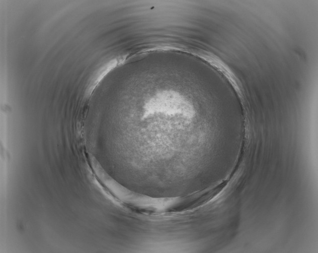 X0000090601385200708071133