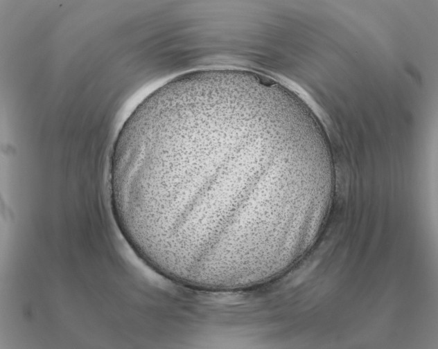 X0000090601387200708071133