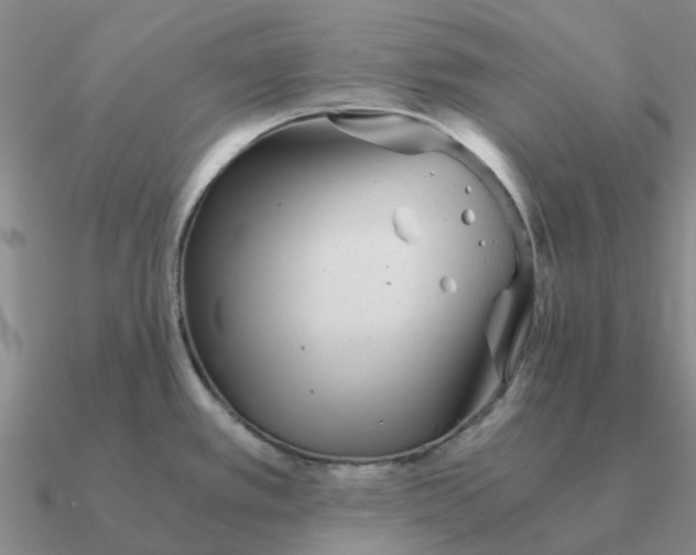 X0000090601389200708071133