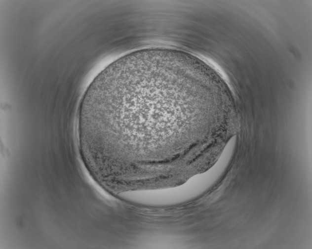 X0000090601391200708071133