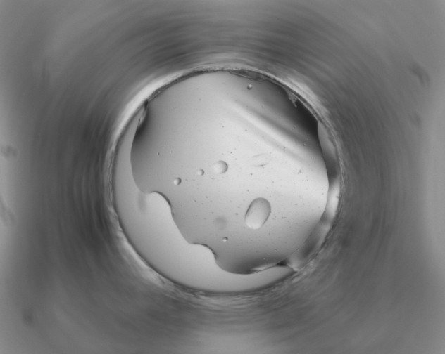 X0000090601392200708071133