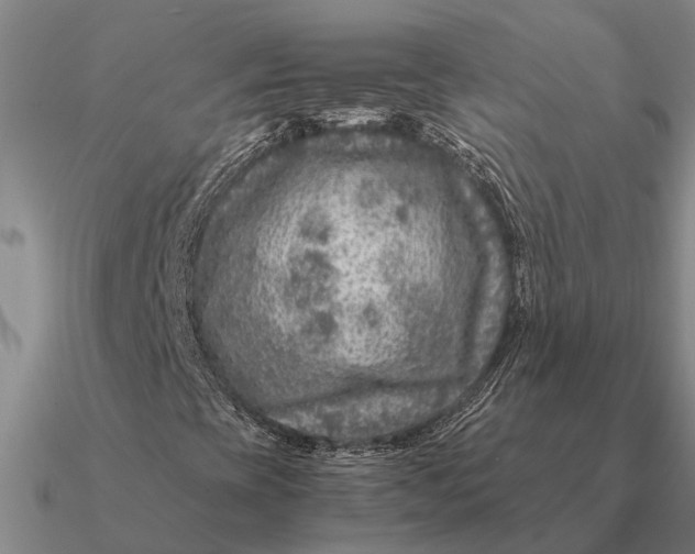 X0000090601393200708071133