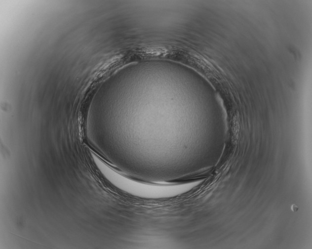 X0000090601394200708071133