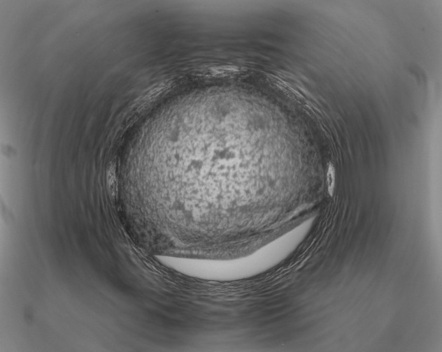 X0000090601395200708071133