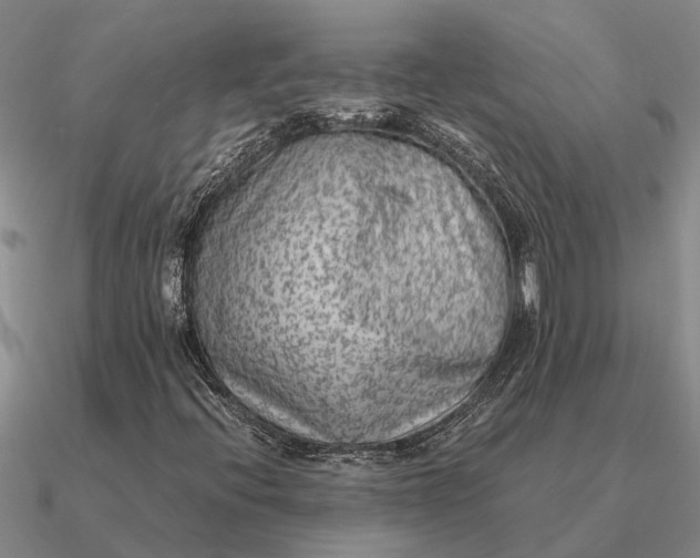 X0000090601396200708071133