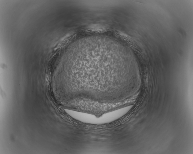 X0000090601397200708071133