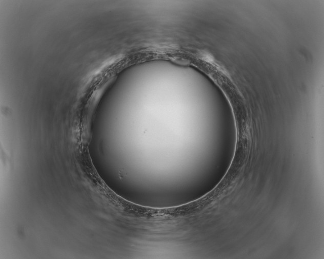 X0000090601398200708071133