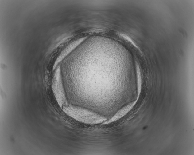 X0000090601399200708071133