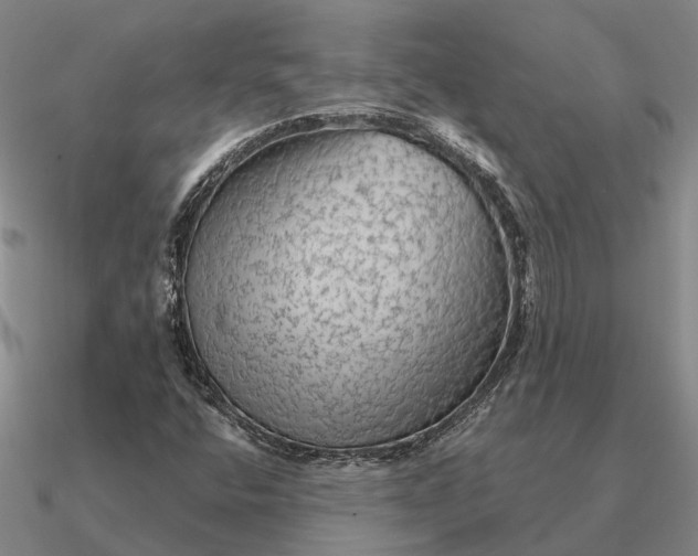 X0000090601400200708071133