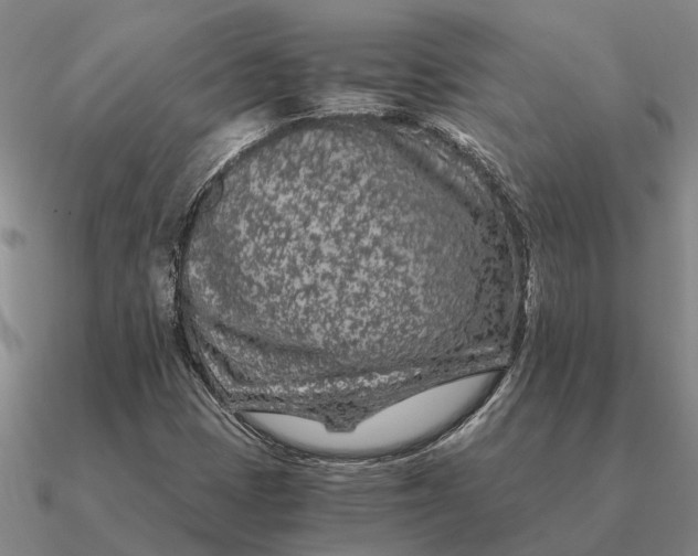 X0000090601401200708071133