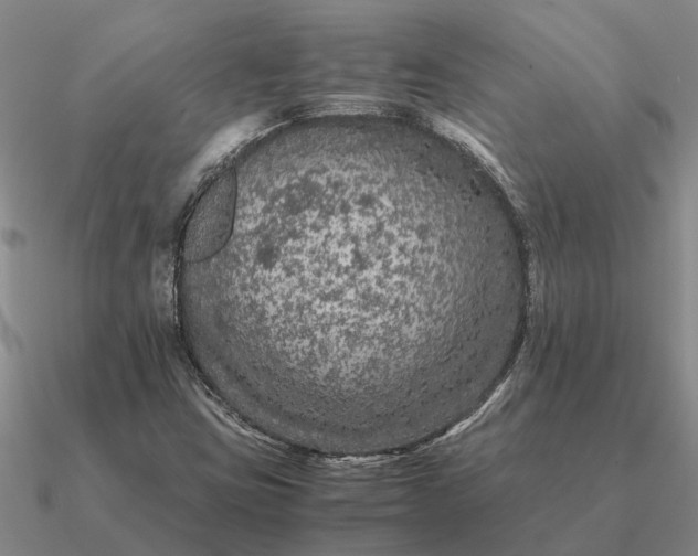 X0000090601403200708071133