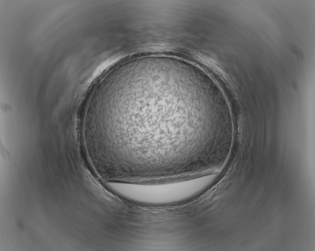 X0000090601404200708071133