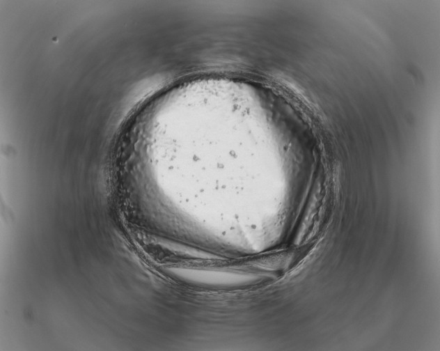 X0000090601405200708071133