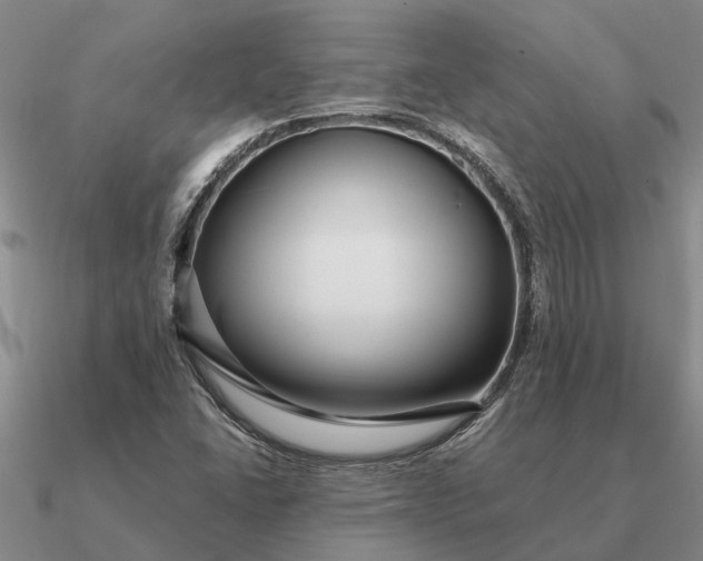 X0000090601406200708071133