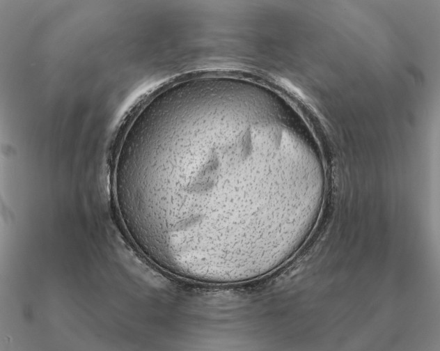 X0000090601408200708071133