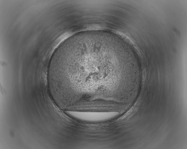 X0000090601409200708071133