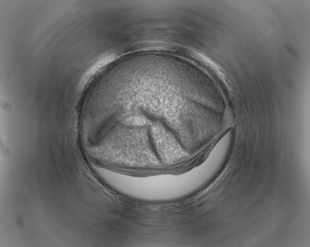 X0000090601411200708071133