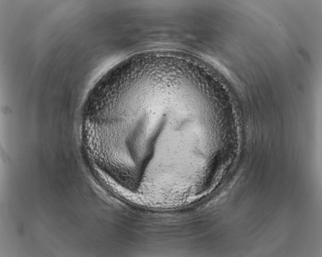 X0000090601413200708071133